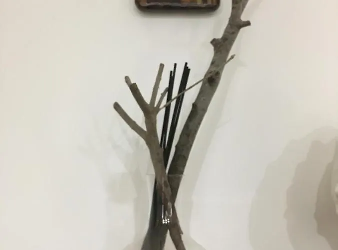 Porto 48 בארי